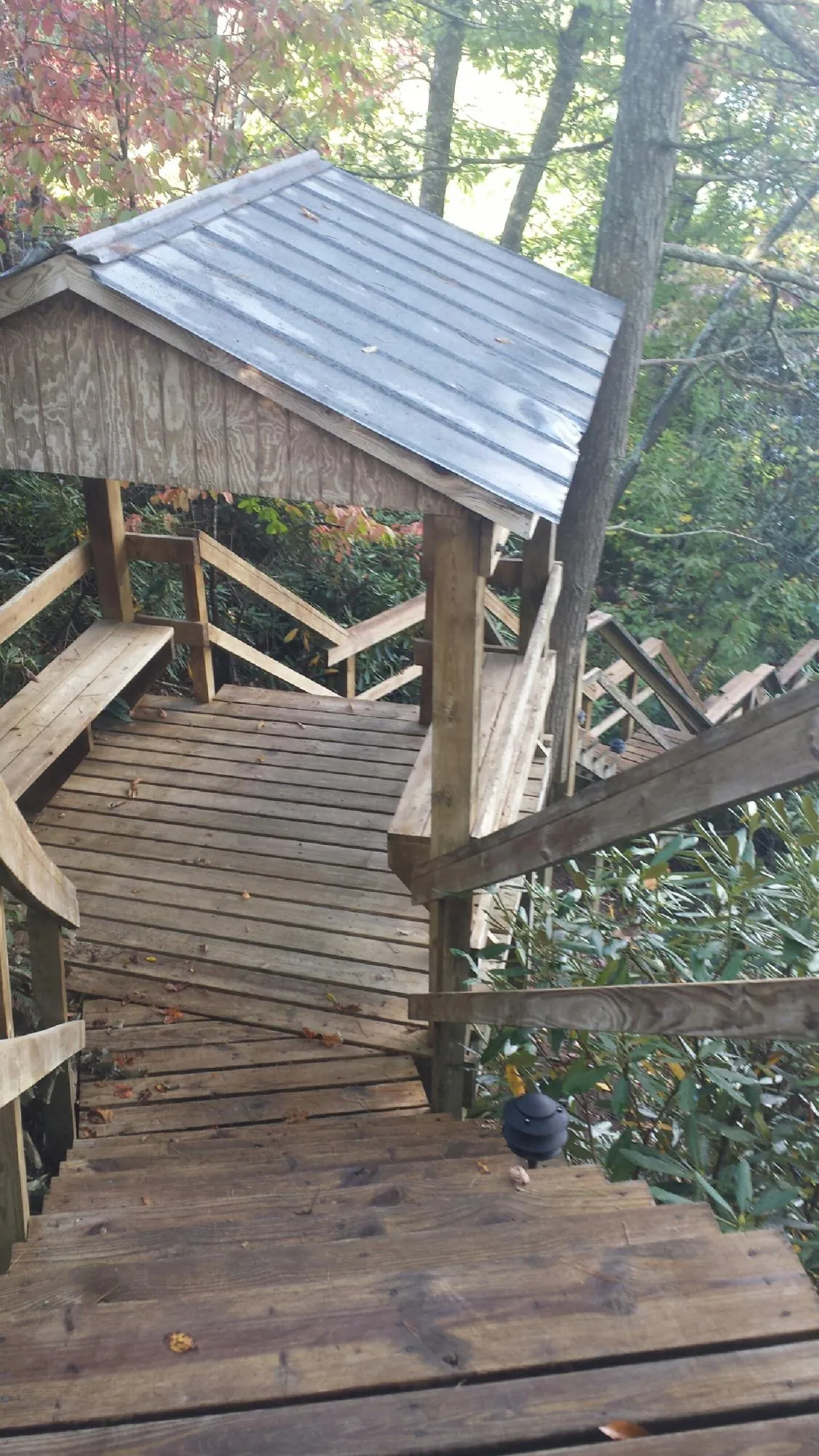 Metal roofed shelter over wooden steps on a wooded walkway — Skylight Repair & Installation work by our crew in Milburn